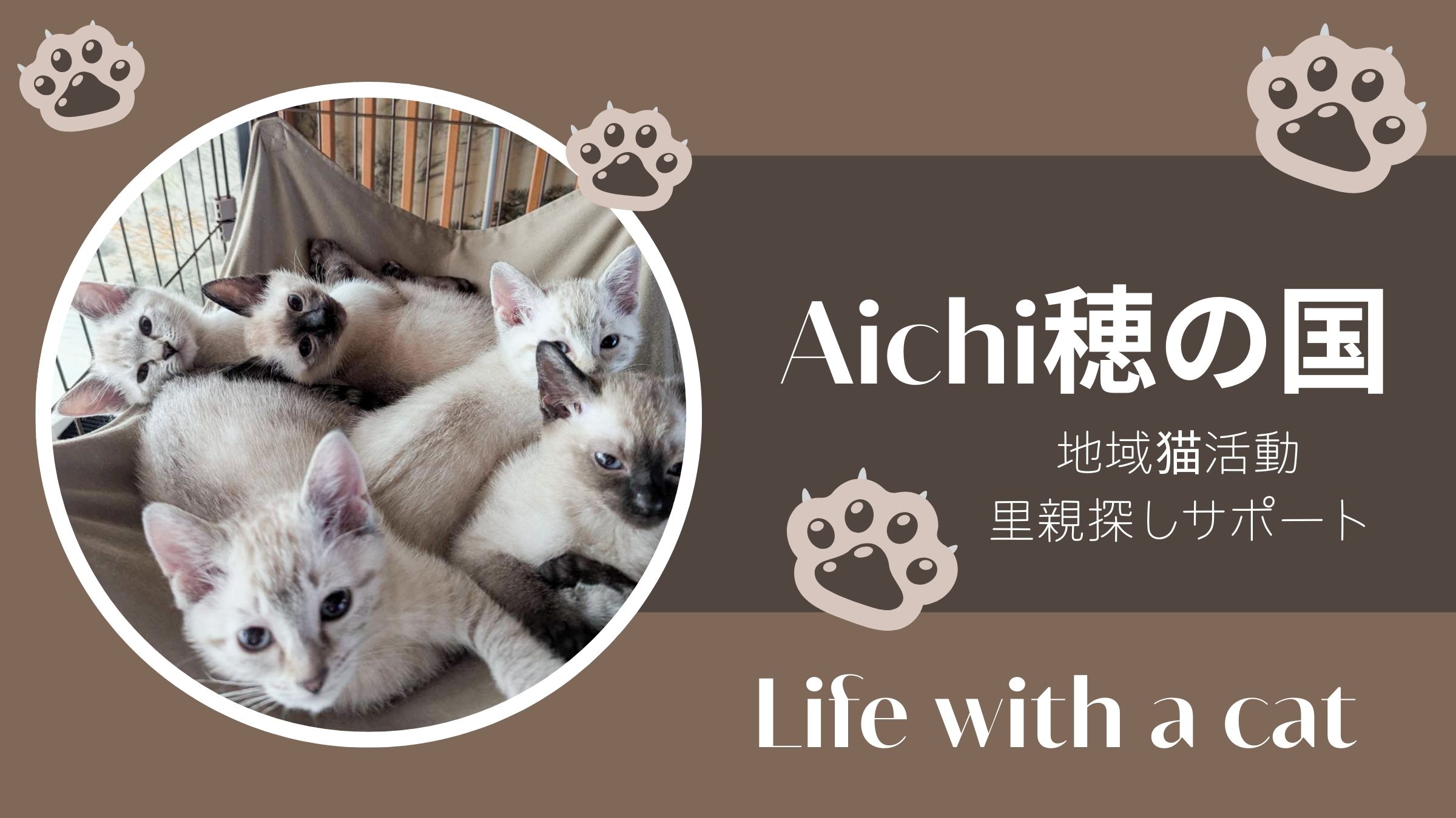 愛知穂の国 地域猫活動・里親探しサポート