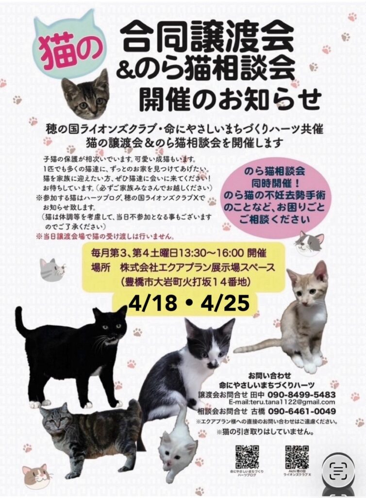 保護猫譲渡会