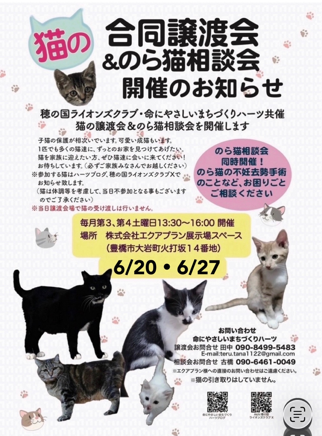 第44回 猫の合同譲渡会＆のら猫相談会を開催します！