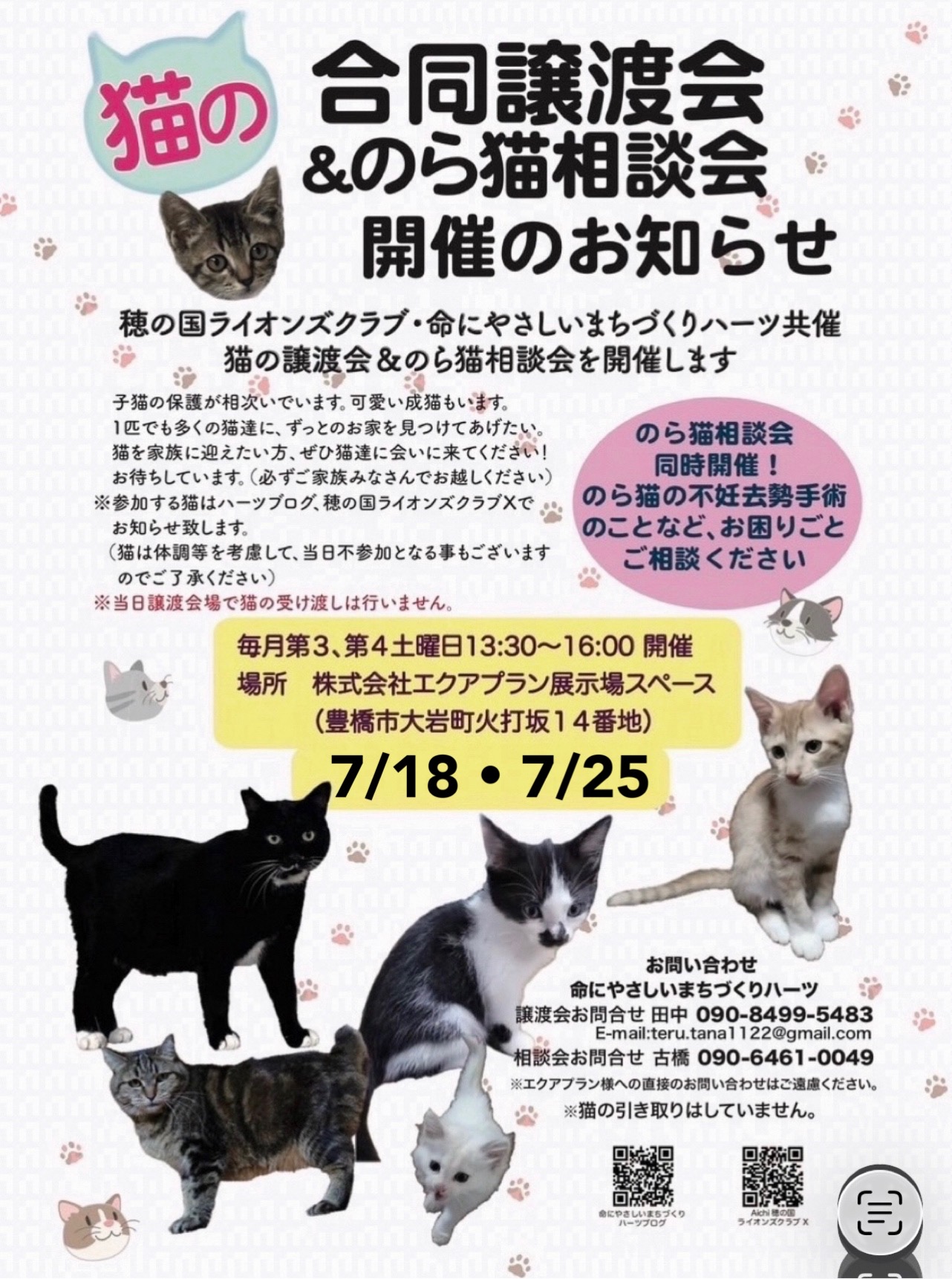 第４５回ねこの合同譲渡会＆のら猫相談会を開催します！